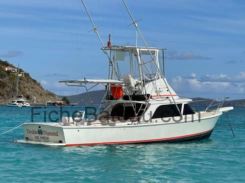 Bertram 31 Open fiche technique et avis
